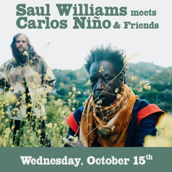 SAUL WILLIAMS meets Carlos Niño & Friends